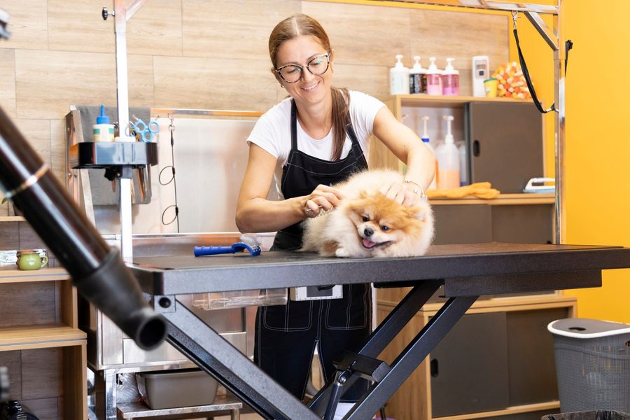 Mobile dog grooming gallery photo